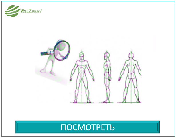 Структурная Функциональная Диагностика записаться на прием Троицк Москва